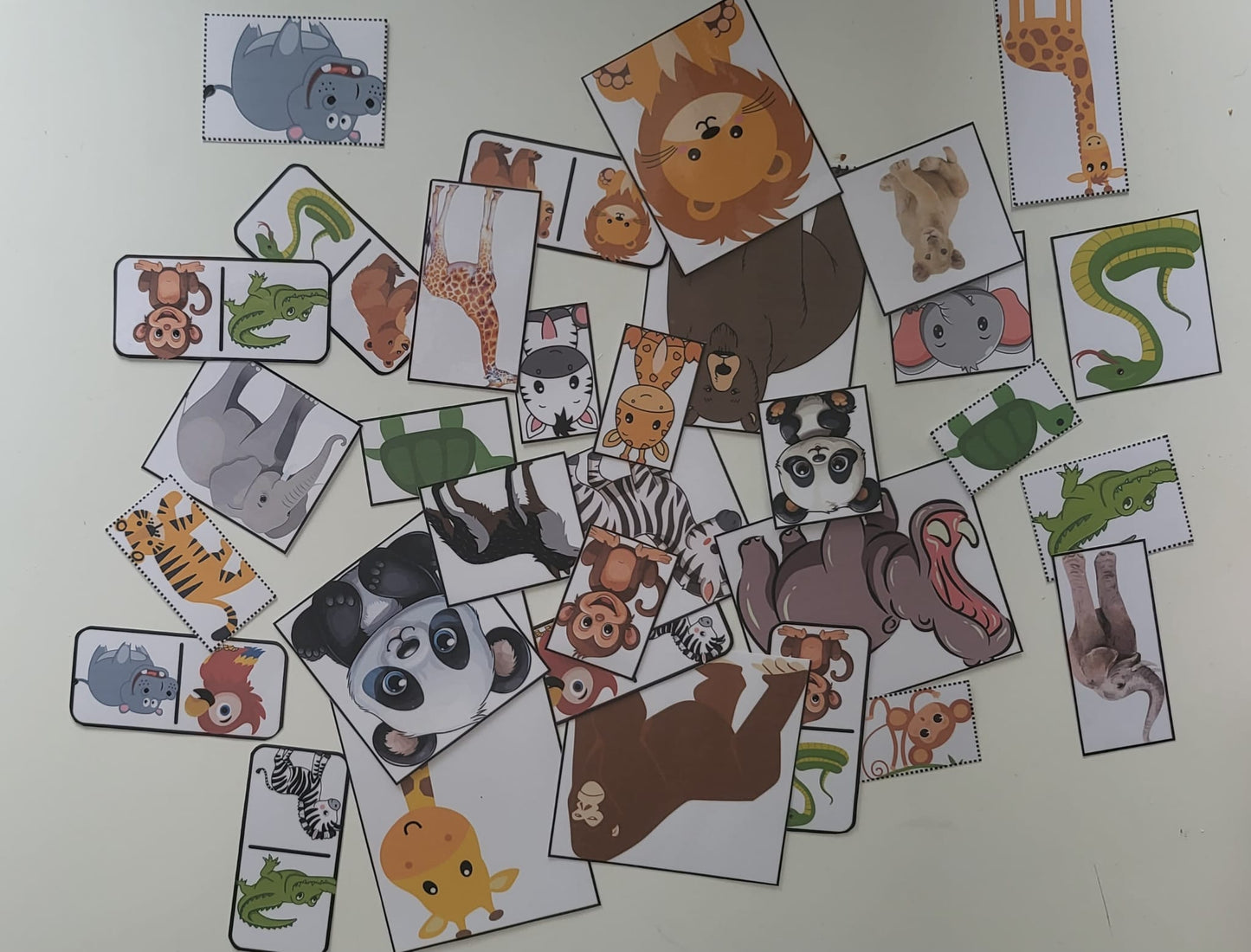 Zoo