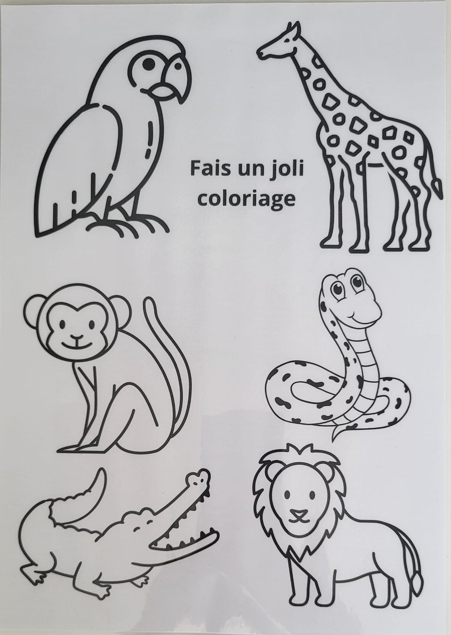 Zoo