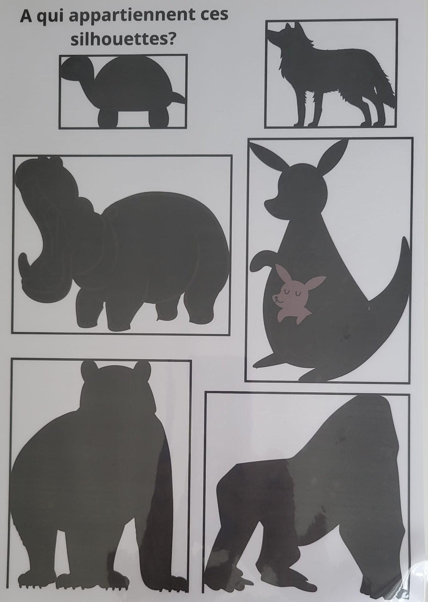 Zoo