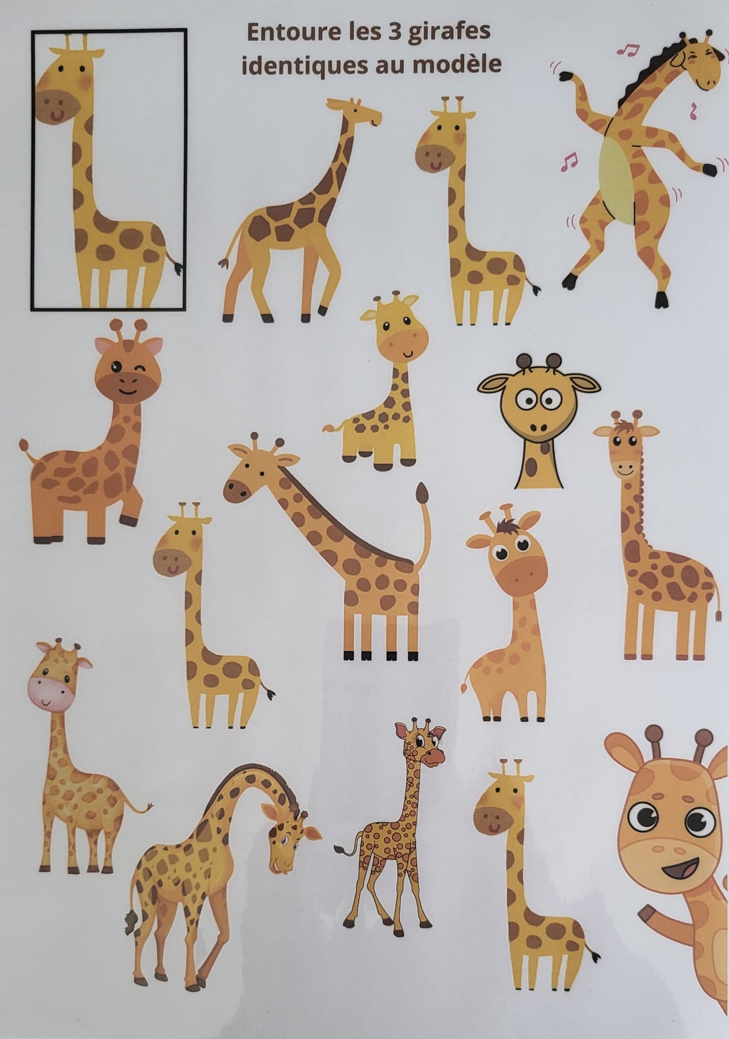 Zoo