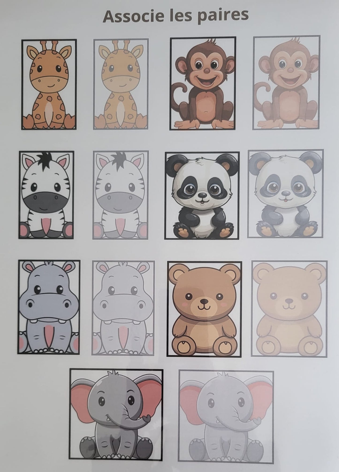 Zoo