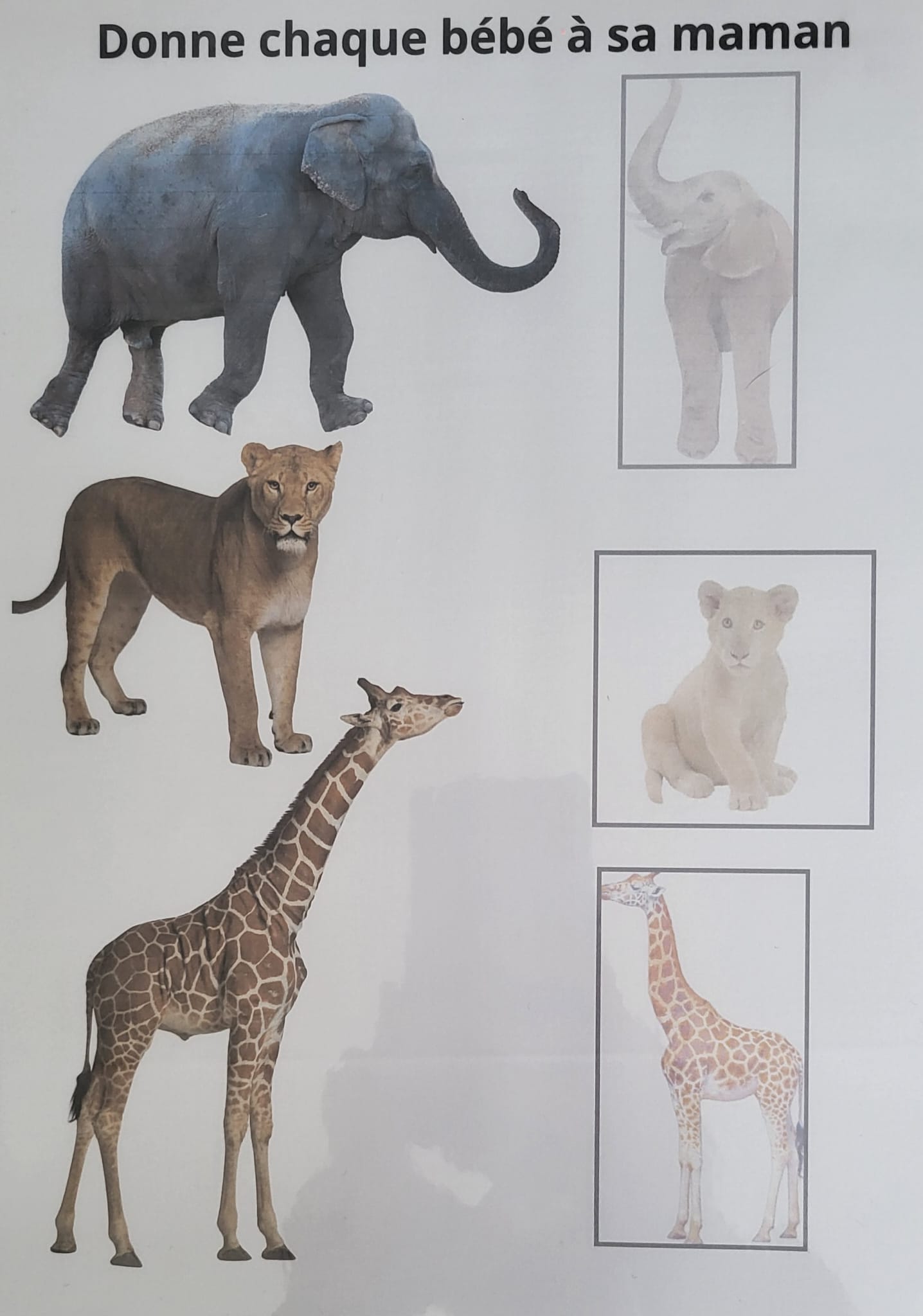 Zoo