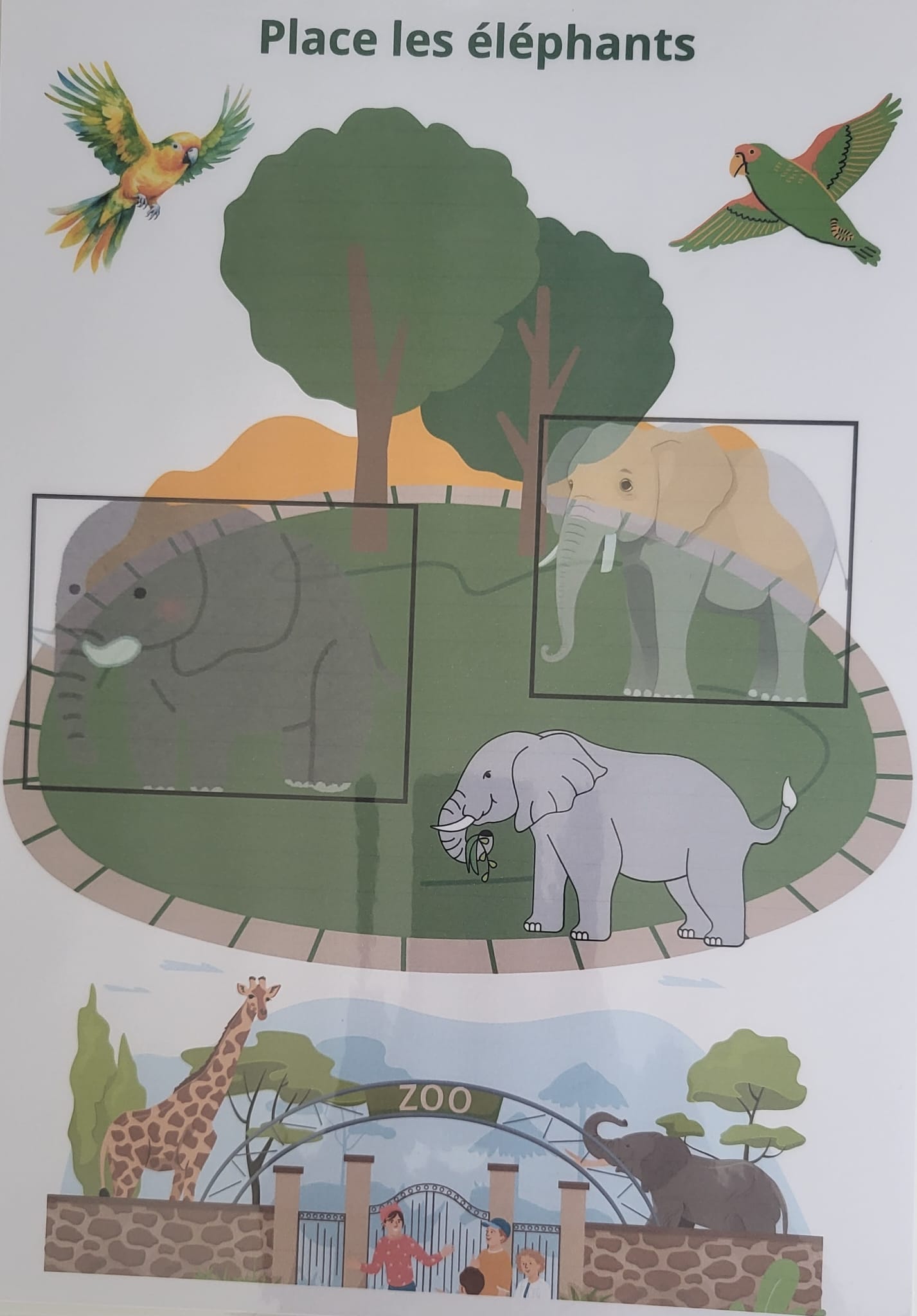 Zoo