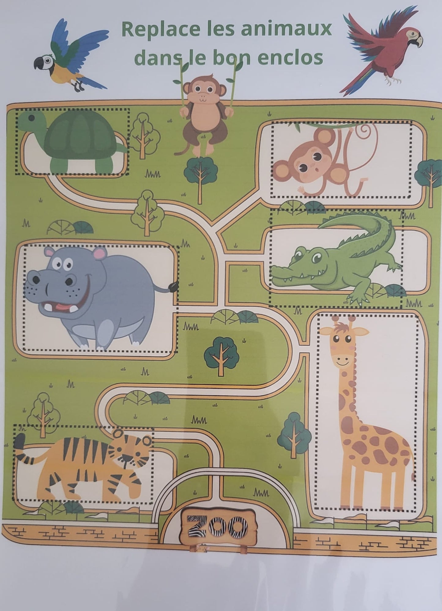 Zoo