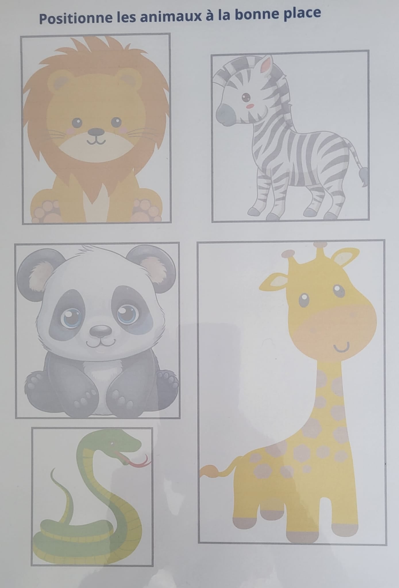 Zoo