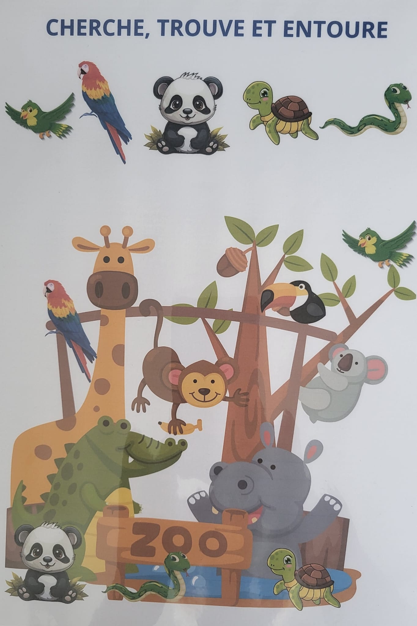 Zoo