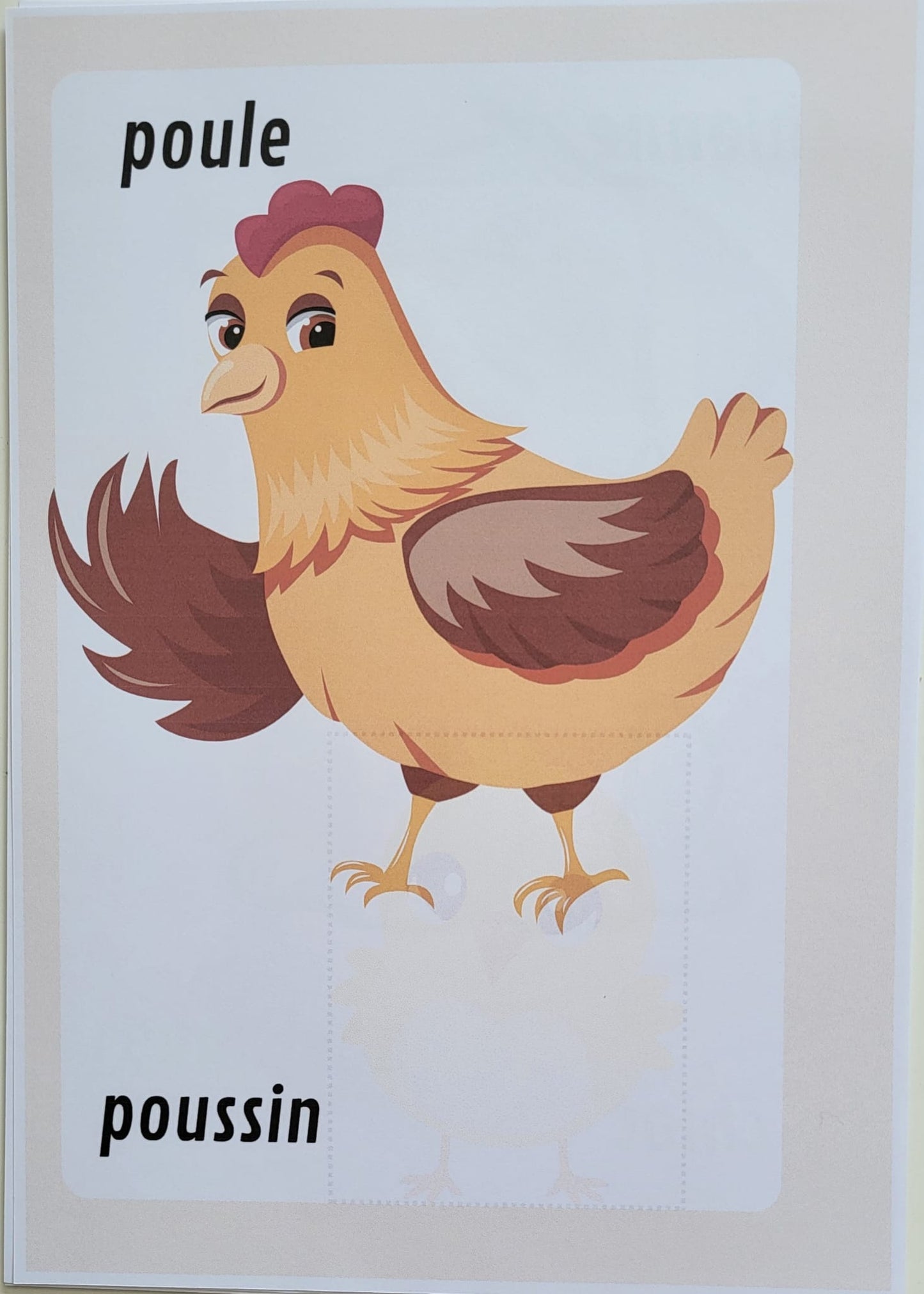 Maman animal