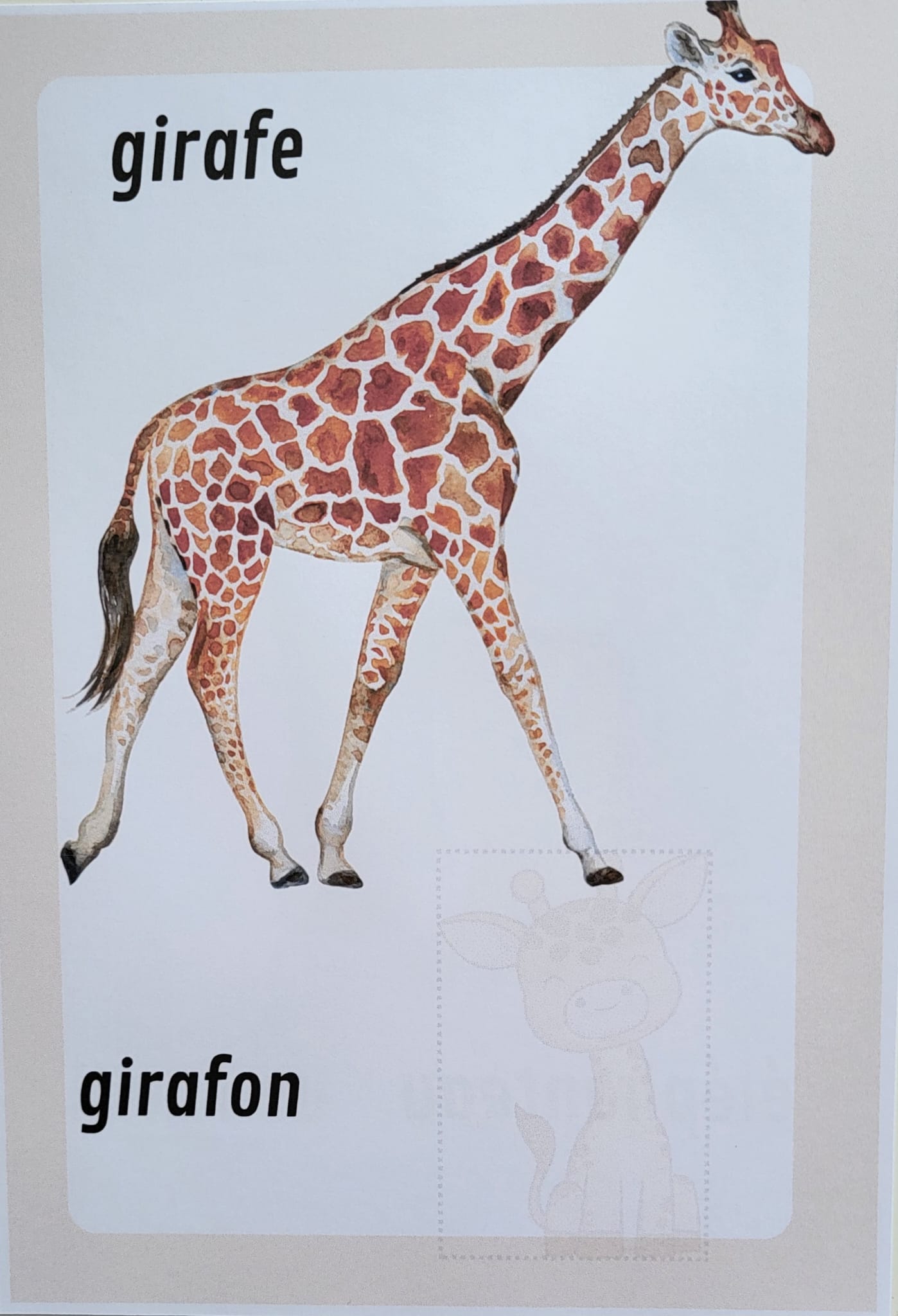 Maman animal
