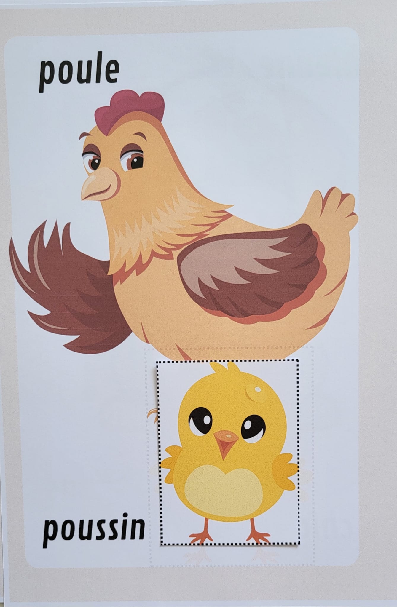 Maman animal