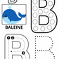 Mon livret alphabet : J’apprends l’alphabet en manipulant ( à scratcher et à tracer)