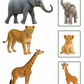 Mon livret zoo – J’observe, je joue, j’apprends !