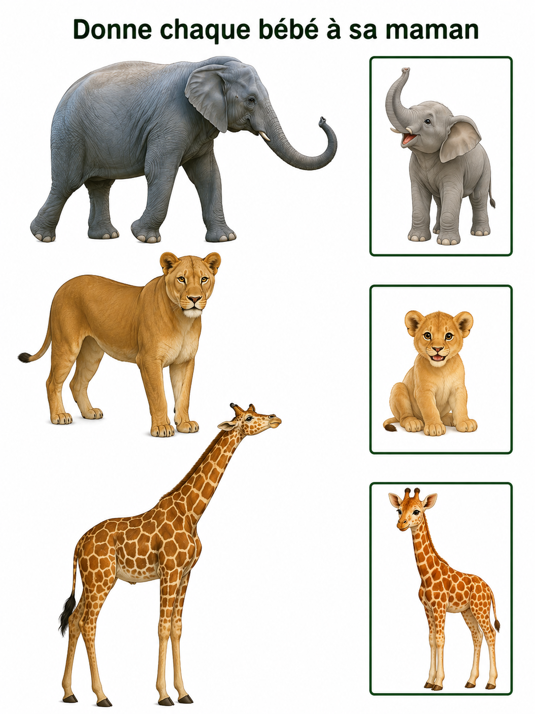 Mon livret zoo – J’observe, je joue, j’apprends !