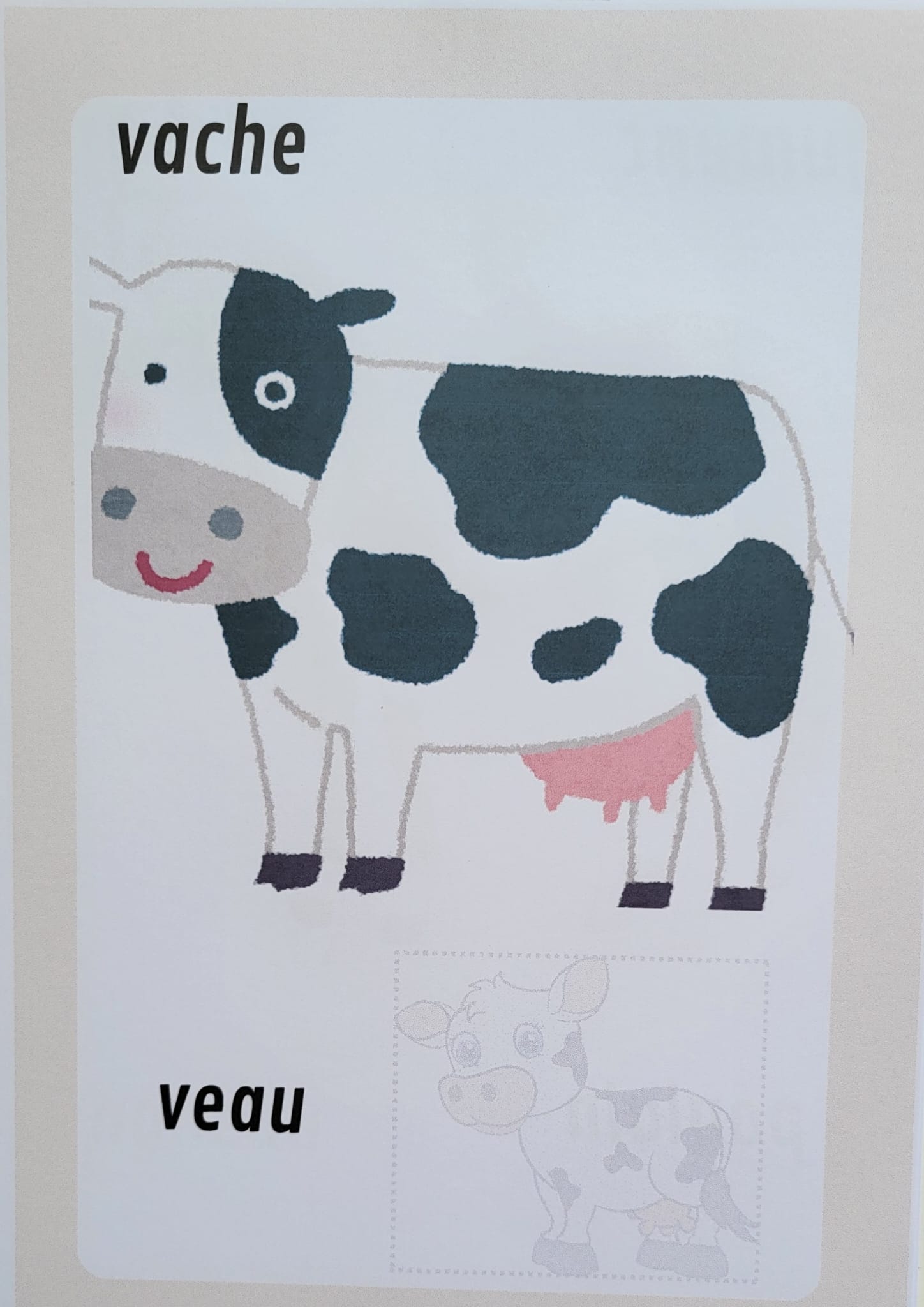 Maman animal