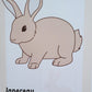 Maman animal