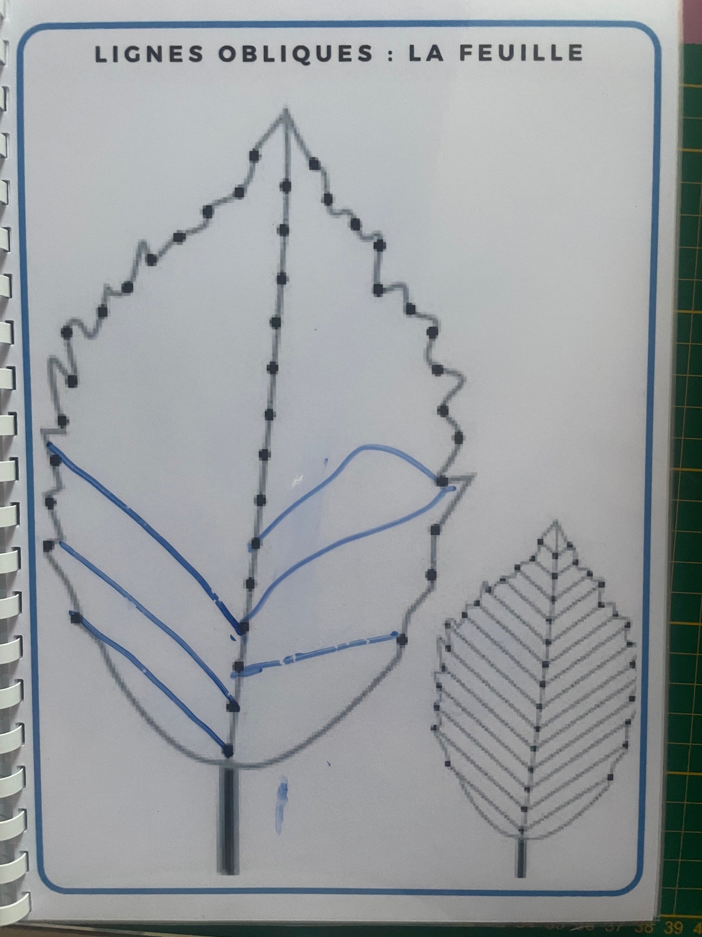 Page du livret de graphisme avec exercice de lignes obliques représentant une feuille à compléter et tracer au feutre effaçable.