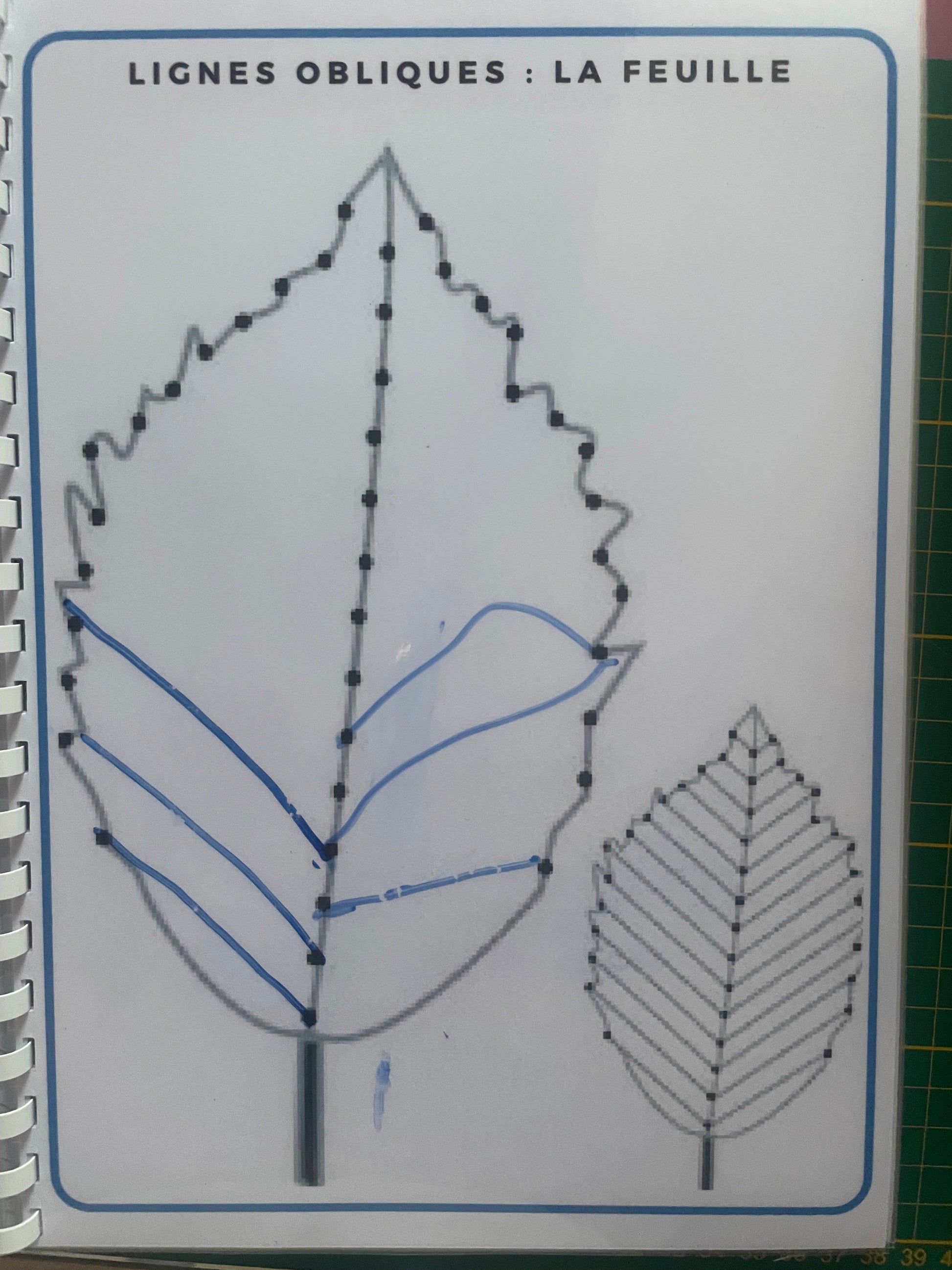 Page du livret de graphisme avec exercice de lignes obliques représentant une feuille à compléter et tracer au feutre effaçable.