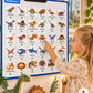 30 pictogrammes « Les dinosaures » – PDF à imprimer | Compatible avec le grand tableau parlant YLOABOOK