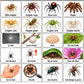 24 pictogrammes « Les araignées » – PDF à imprimer | Compatible avec le grand tableau parlant YLOABOOK