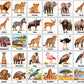 30 pictogrammes « Les animaux de la savane » – PDF à imprimer | Compatible avec le grand tableau parlant YLOABOOK