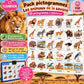 30 pictogrammes « Les animaux de la savane » – PDF à imprimer | Compatible avec le grand tableau parlant YLOABOOK