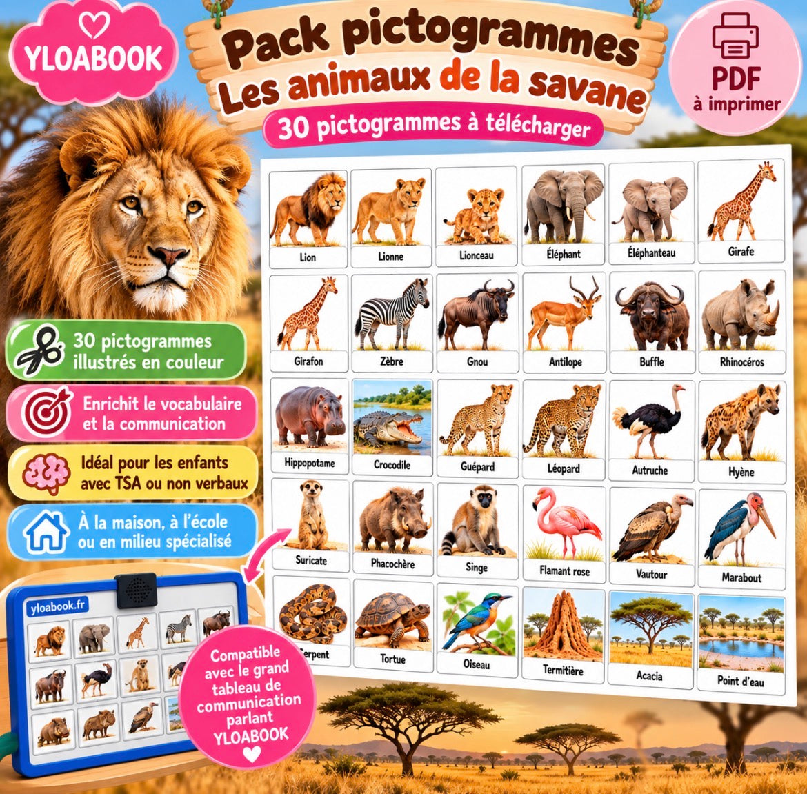 30 pictogrammes « Les animaux de la savane » – PDF à imprimer | Compatible avec le grand tableau parlant YLOABOOK